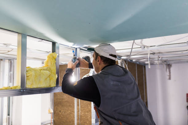 Best Specialized Insulation Services in Atchison, KS
